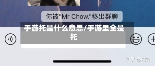 手游托是什么意思/手游里全是托