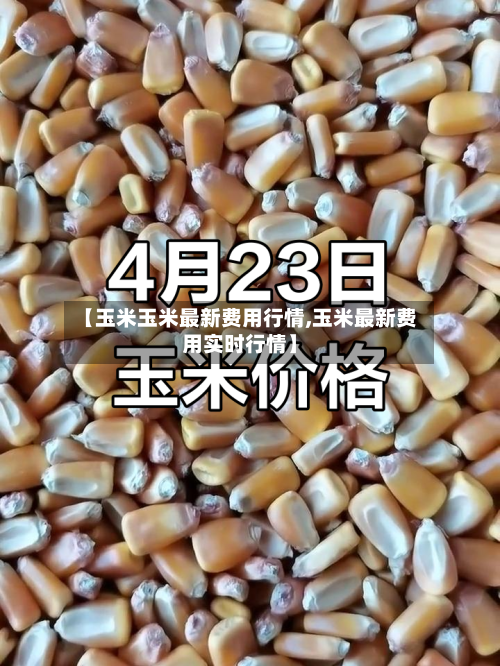 【玉米玉米最新费用行情,玉米最新费用实时行情】
