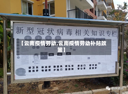 【云南疫情劳动,云南疫情劳动补贴政策】-第3张图片