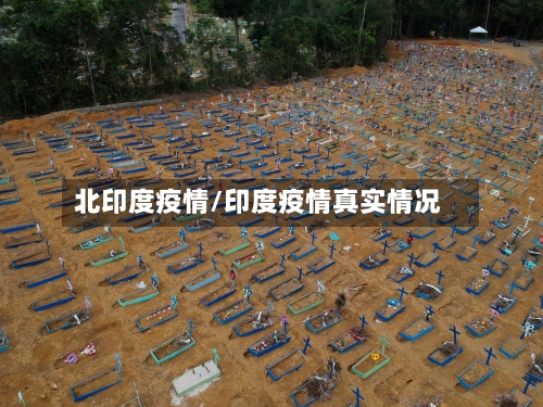 北印度疫情/印度疫情真实情况-第3张图片