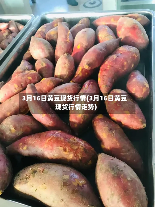 3月16日黄豆现货行情(3月16日黄豆现货行情走势)-第3张图片