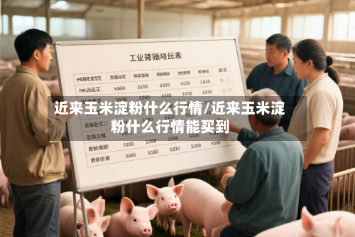 近来玉米淀粉什么行情/近来玉米淀粉什么行情能买到-第2张图片