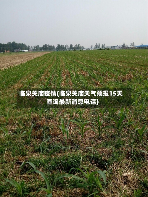 临泉关庙疫情(临泉关庙天气预报15天查询最新消息电话)