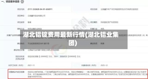 湖北铝锭费用最新行情(湖北铝业集团)-第2张图片