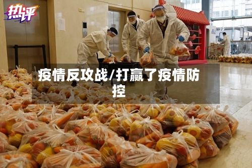 疫情反攻战/打赢了疫情防控