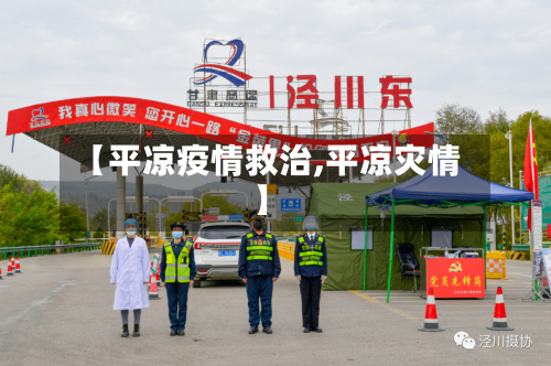 【平凉疫情救治,平凉灾情】-第2张图片