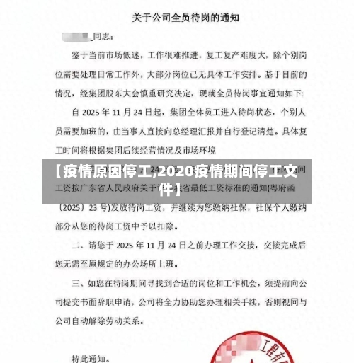 【疫情原因停工,2020疫情期间停工文件】-第3张图片