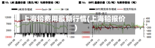 上海铅费用最新行情(上海铅报价)-第2张图片