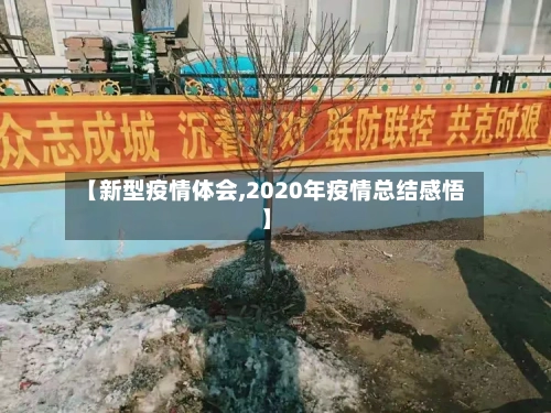 【新型疫情体会,2020年疫情总结感悟】-第2张图片
