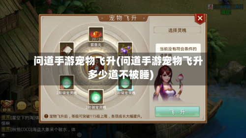 问道手游宠物飞升(问道手游宠物飞升多少道不被睡)