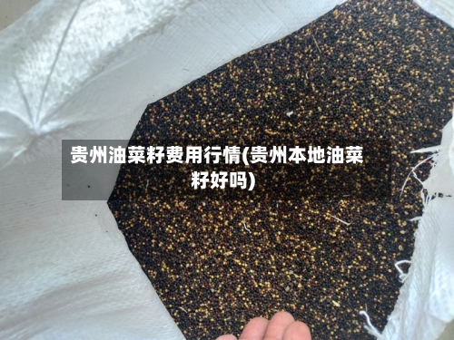 贵州油菜籽费用行情(贵州本地油菜籽好吗)