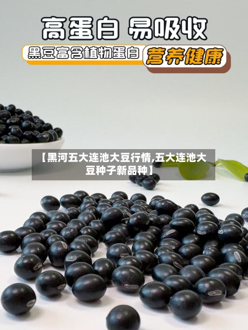 【黑河五大连池大豆行情,五大连池大豆种子新品种】-第2张图片
