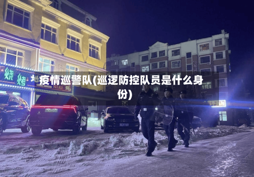疫情巡警队(巡逻防控队员是什么身份)-第2张图片