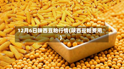 12月6日陕西豆粕行情(陕西豆粕费用)-第2张图片