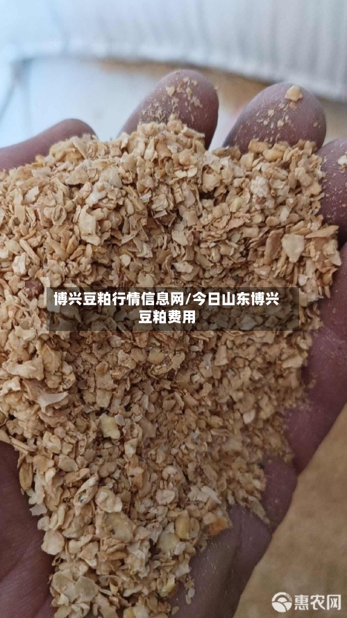 博兴豆粕行情信息网/今日山东博兴豆粕费用-第2张图片