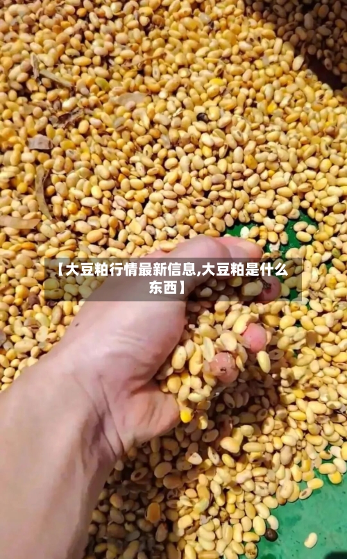 【大豆粕行情最新信息,大豆粕是什么东西】