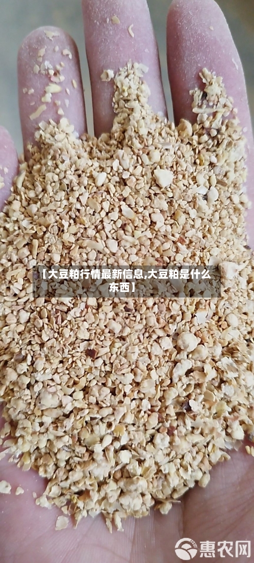 【大豆粕行情最新信息,大豆粕是什么东西】-第3张图片