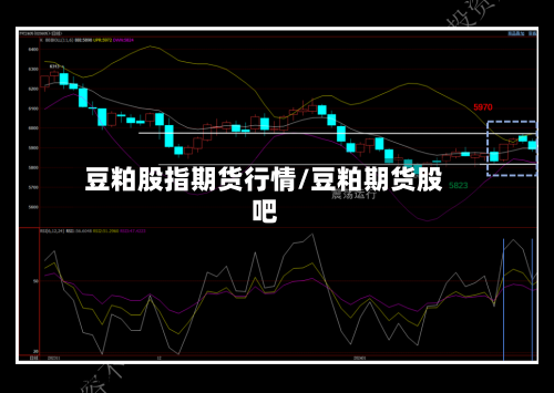 豆粕股指期货行情/豆粕期货股吧-第2张图片