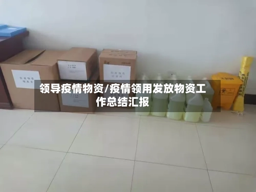 领导疫情物资/疫情领用发放物资工作总结汇报-第2张图片