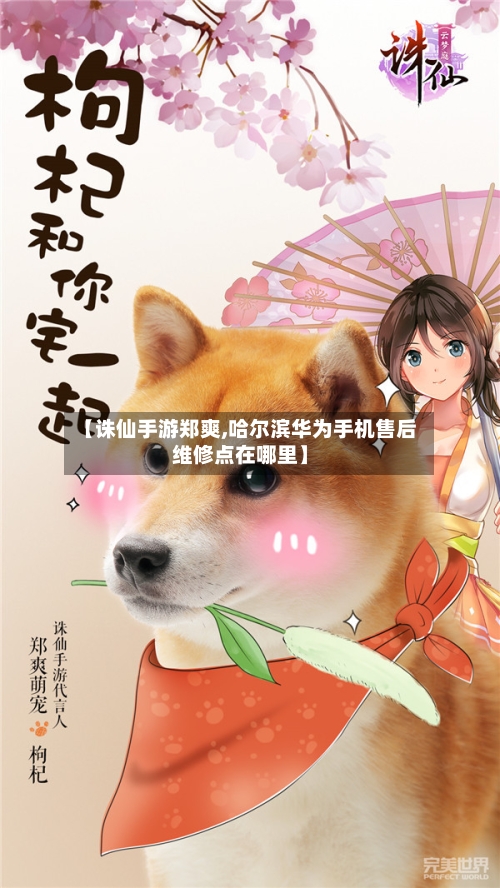 【诛仙手游郑爽,哈尔滨华为手机售后维修点在哪里】