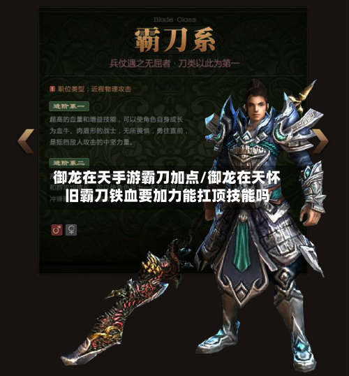御龙在天手游霸刀加点/御龙在天怀旧霸刀铁血要加力能扛顶技能吗-第2张图片