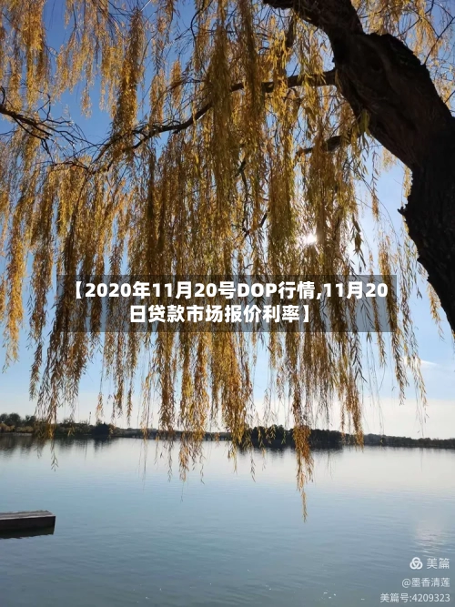 【2020年11月20号DOP行情,11月20日贷款市场报价利率】