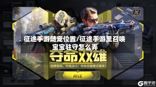 征途手游随宠位置/征途手游里召唤宝宝驻守怎么弄