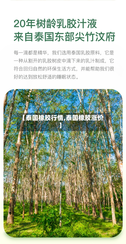 【泰国橡胶行情,泰国橡胶涨价】-第3张图片