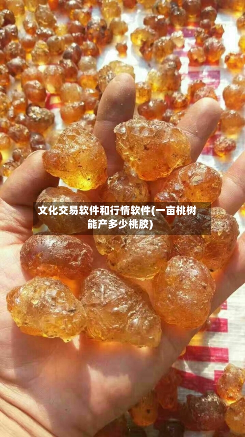 文化交易软件和行情软件(一亩桃树能产多少桃胶)