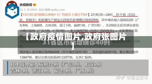 【政府疫情图片,政府张图片】-第2张图片