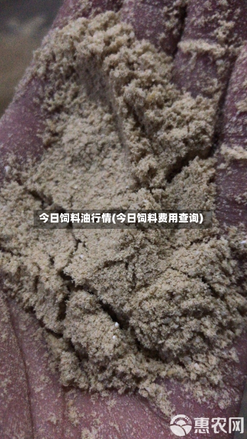 今日饲料油行情(今日饲料费用查询)-第2张图片