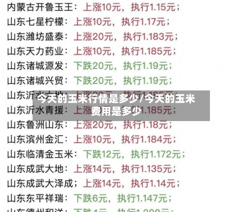 今天的玉米行情是多少/今天的玉米费用是多少