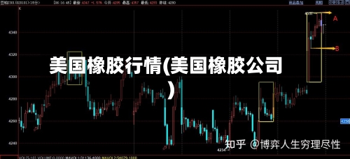 美国橡胶行情(美国橡胶公司)-第3张图片