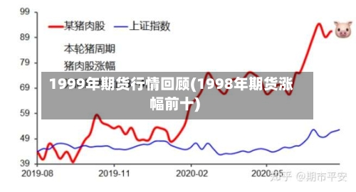 1999年期货行情回顾(1998年期货涨幅前十)-第2张图片
