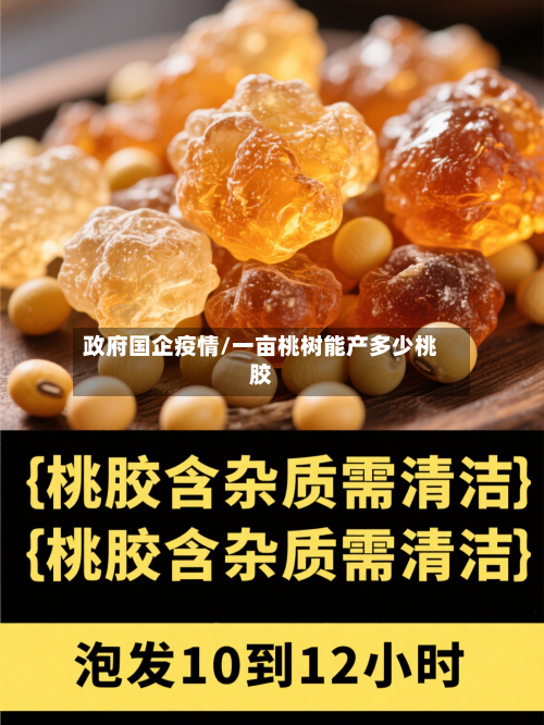 政府国企疫情/一亩桃树能产多少桃胶