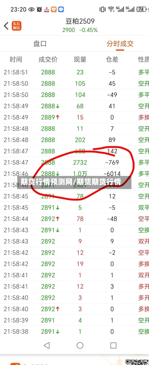 期货行情预测网/期货期货行情