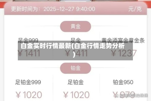 白金实时行情最新(白金行情走势分析)-第2张图片