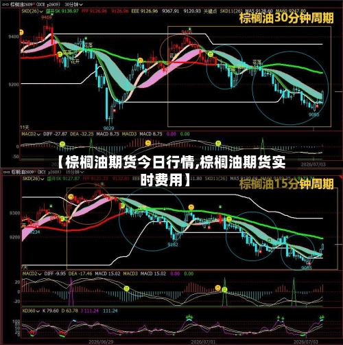 【棕榈油期货今日行情,棕榈油期货实时费用】