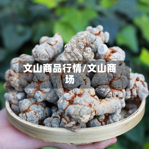 文山商品行情/文山商场-第3张图片