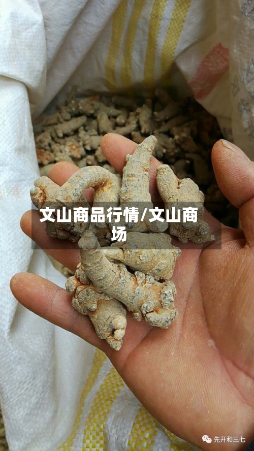 文山商品行情/文山商场-第2张图片