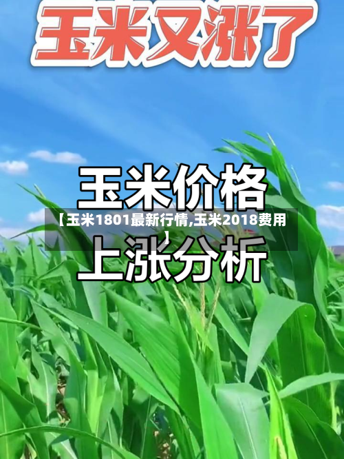 【玉米1801最新行情,玉米2018费用】