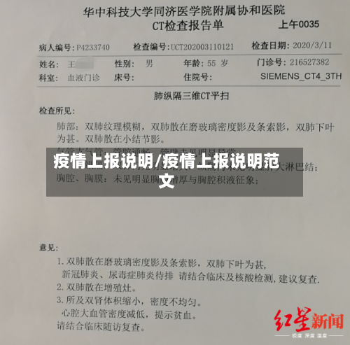 疫情上报说明/疫情上报说明范文