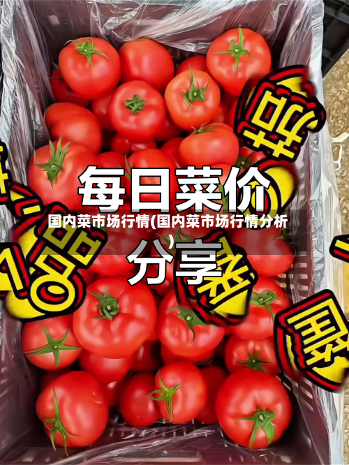 国内菜市场行情(国内菜市场行情分析)