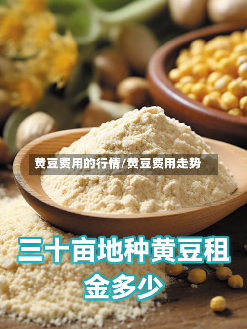 黄豆费用的行情/黄豆费用走势-第2张图片