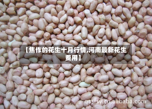 【焦作的花生十月行情,河南最新花生费用】