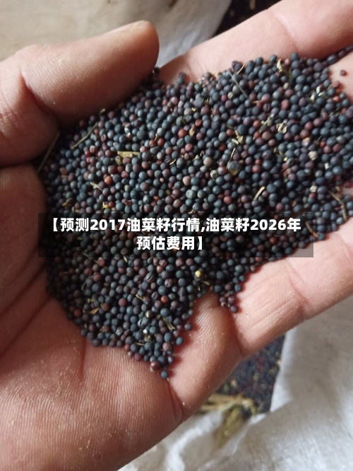 【预测2017油菜籽行情,油菜籽2026年预估费用】-第3张图片