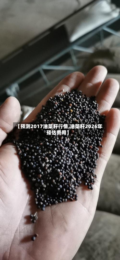 【预测2017油菜籽行情,油菜籽2026年预估费用】