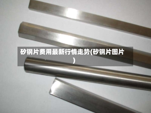 矽钢片费用最新行情走势(矽钢片图片)-第2张图片