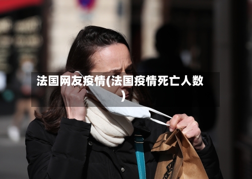 法国网友疫情(法国疫情死亡人数)-第3张图片