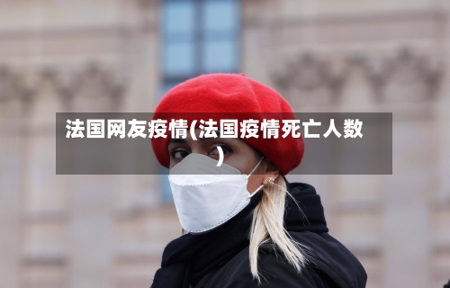 法国网友疫情(法国疫情死亡人数)-第2张图片